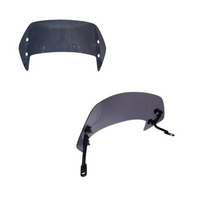 Ola Wind Shield Visor for All Models