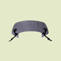 Ola Wind Shield Visor for All Models